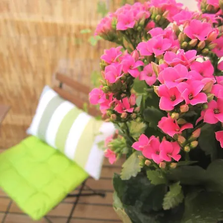 Sant'ana Restelo 1br Terrace Apartment Lissabon